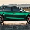Audi SQ5 TDI makes its debut with 347 PS and 700 Nm