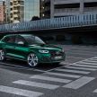 Audi SQ5 TDI makes its debut with 347 PS and 700 Nm