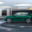 Audi SQ5 TDI makes its debut with 347 PS and 700 Nm