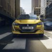 2019 Peugeot 208 unveiled with 340 km electric model