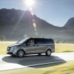 W447 Mercedes-Benz V-Class facelift gets new diesel