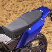 You can buy the 2019 Yamaha Tenere 700 online