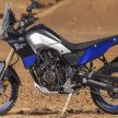 You can buy the 2019 Yamaha Tenere 700 online