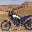 2019 Yamaha XTZ700 Tenere UK price – RM46,747