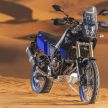 You can buy the 2019 Yamaha Tenere 700 online