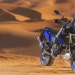 You can buy the 2019 Yamaha Tenere 700 online