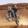 You can buy the 2019 Yamaha Tenere 700 online