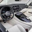 Mercedes-AMG GT R Roadster – hanya 750 unit dibuat