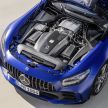 Mercedes-AMG GT R Roadster – hanya 750 unit dibuat