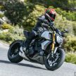 FIRST RIDE: 2019 Ducati Diavel 1260S – looks like a cruiser, feels like a cruiser but isn’t a cruiser