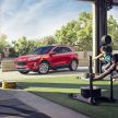 2019 Ford Kuga unveiled: mild, full and plug-in hybrids