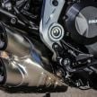 FIRST RIDE: 2019 Ducati Diavel 1260S – looks like a cruiser, feels like a cruiser but isn’t a cruiser