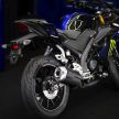 2019 Yamaha YZF-R125 gets Monster MotoGP livery