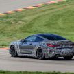 BMW M8 Coupe and Convertible will debut new display and control system – Setup and M Mode buttons