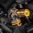 Ducati Panigale V4 R – model boleh guna atas jalan biasa paling hampir dengan jentera lumba, RM299,900
