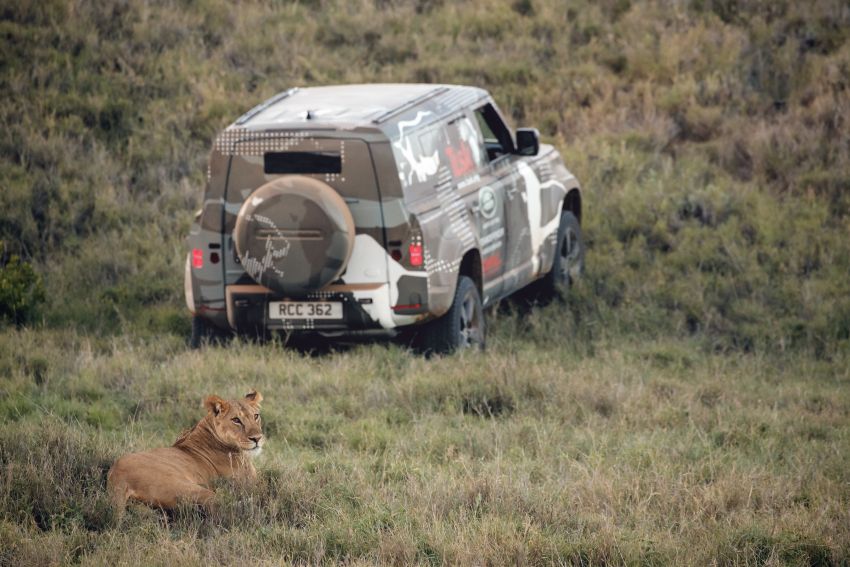 New Land Rover Defender does lion conservation duty Image #968286