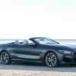 FIRST DRIVE: 2019 G14 BMW M850i Convertible review