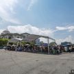 Volkswagen Beetle, An Iconic Gathering – farewell party to an automotive icon sees 405 Beetles gathered