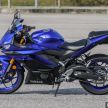 GALERI: Yamaha YZF-R25 2019 di M’sia – RM19,988