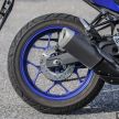 GALERI: Yamaha YZF-R25 2019 di M’sia – RM19,988