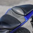 GALERI: Yamaha YZF-R25 2019 di M’sia – RM19,988