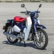 REVIEW: 2019 Honda C125 Super Cub – retro or no?