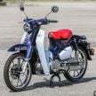 REVIEW: 2019 Honda C125 Super Cub – retro or no?