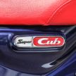 REVIEW: 2019 Honda C125 Super Cub – retro or no?