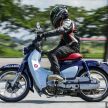 REVIEW: 2019 Honda C125 Super Cub – retro or no?