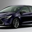 Toyota Corolla 2019 masuk pasaran Jepun – tampilkan sedikit perbezaan, tiga pilihan enjin dan bentuk badan