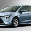 Toyota Corolla 2019 masuk pasaran Jepun – tampilkan sedikit perbezaan, tiga pilihan enjin dan bentuk badan