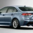 Toyota Corolla 2019 masuk pasaran Jepun – tampilkan sedikit perbezaan, tiga pilihan enjin dan bentuk badan