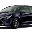 Toyota Corolla 2019 masuk pasaran Jepun – tampilkan sedikit perbezaan, tiga pilihan enjin dan bentuk badan