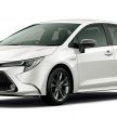 Toyota Corolla 2019 masuk pasaran Jepun – tampilkan sedikit perbezaan, tiga pilihan enjin dan bentuk badan