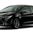Toyota Corolla 2019 masuk pasaran Jepun – tampilkan sedikit perbezaan, tiga pilihan enjin dan bentuk badan