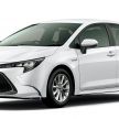 Toyota Corolla 2019 masuk pasaran Jepun – tampilkan sedikit perbezaan, tiga pilihan enjin dan bentuk badan
