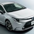 Toyota Corolla 2019 masuk pasaran Jepun – tampilkan sedikit perbezaan, tiga pilihan enjin dan bentuk badan