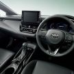 Toyota Corolla 2019 masuk pasaran Jepun – tampilkan sedikit perbezaan, tiga pilihan enjin dan bentuk badan