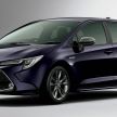 Toyota Corolla 2019 masuk pasaran Jepun – tampilkan sedikit perbezaan, tiga pilihan enjin dan bentuk badan