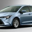 Toyota Corolla 2019 masuk pasaran Jepun – tampilkan sedikit perbezaan, tiga pilihan enjin dan bentuk badan
