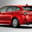 Toyota Corolla 2019 masuk pasaran Jepun – tampilkan sedikit perbezaan, tiga pilihan enjin dan bentuk badan