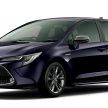 Toyota Corolla 2019 masuk pasaran Jepun – tampilkan sedikit perbezaan, tiga pilihan enjin dan bentuk badan