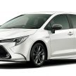 Toyota Corolla 2019 masuk pasaran Jepun – tampilkan sedikit perbezaan, tiga pilihan enjin dan bentuk badan