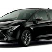 Toyota Corolla 2019 masuk pasaran Jepun – tampilkan sedikit perbezaan, tiga pilihan enjin dan bentuk badan