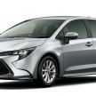 Toyota Corolla 2019 masuk pasaran Jepun – tampilkan sedikit perbezaan, tiga pilihan enjin dan bentuk badan
