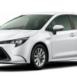 Toyota Corolla 2019 masuk pasaran Jepun – tampilkan sedikit perbezaan, tiga pilihan enjin dan bentuk badan