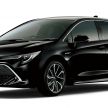 Toyota Corolla 2019 masuk pasaran Jepun – tampilkan sedikit perbezaan, tiga pilihan enjin dan bentuk badan
