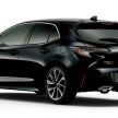 Toyota Corolla 2019 masuk pasaran Jepun – tampilkan sedikit perbezaan, tiga pilihan enjin dan bentuk badan