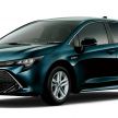 Toyota Corolla 2019 masuk pasaran Jepun – tampilkan sedikit perbezaan, tiga pilihan enjin dan bentuk badan