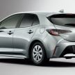 Toyota Corolla 2019 masuk pasaran Jepun – tampilkan sedikit perbezaan, tiga pilihan enjin dan bentuk badan